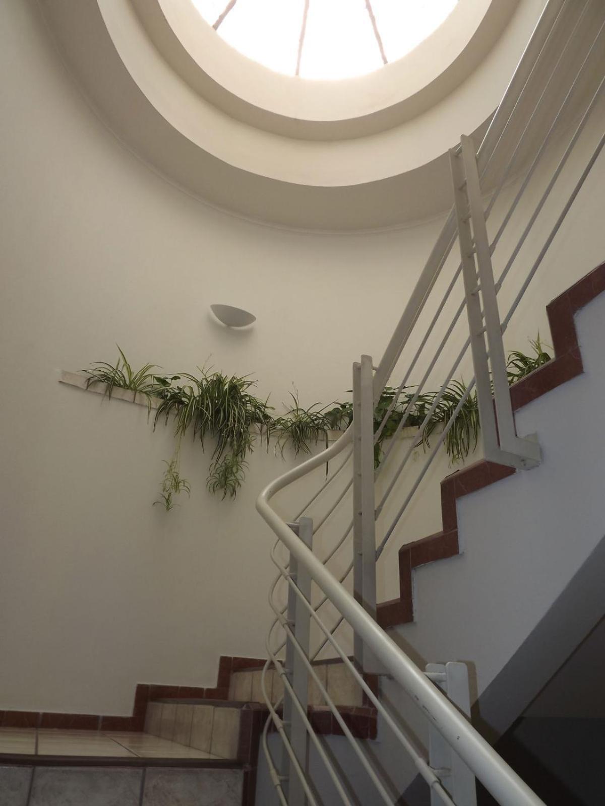 טולנסינגו Hotel Mediterraneo Sa De Cv מראה חיצוני תמונה